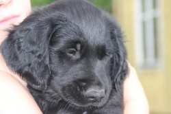 2014-07-02T17:15:20