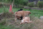 IMG_8795